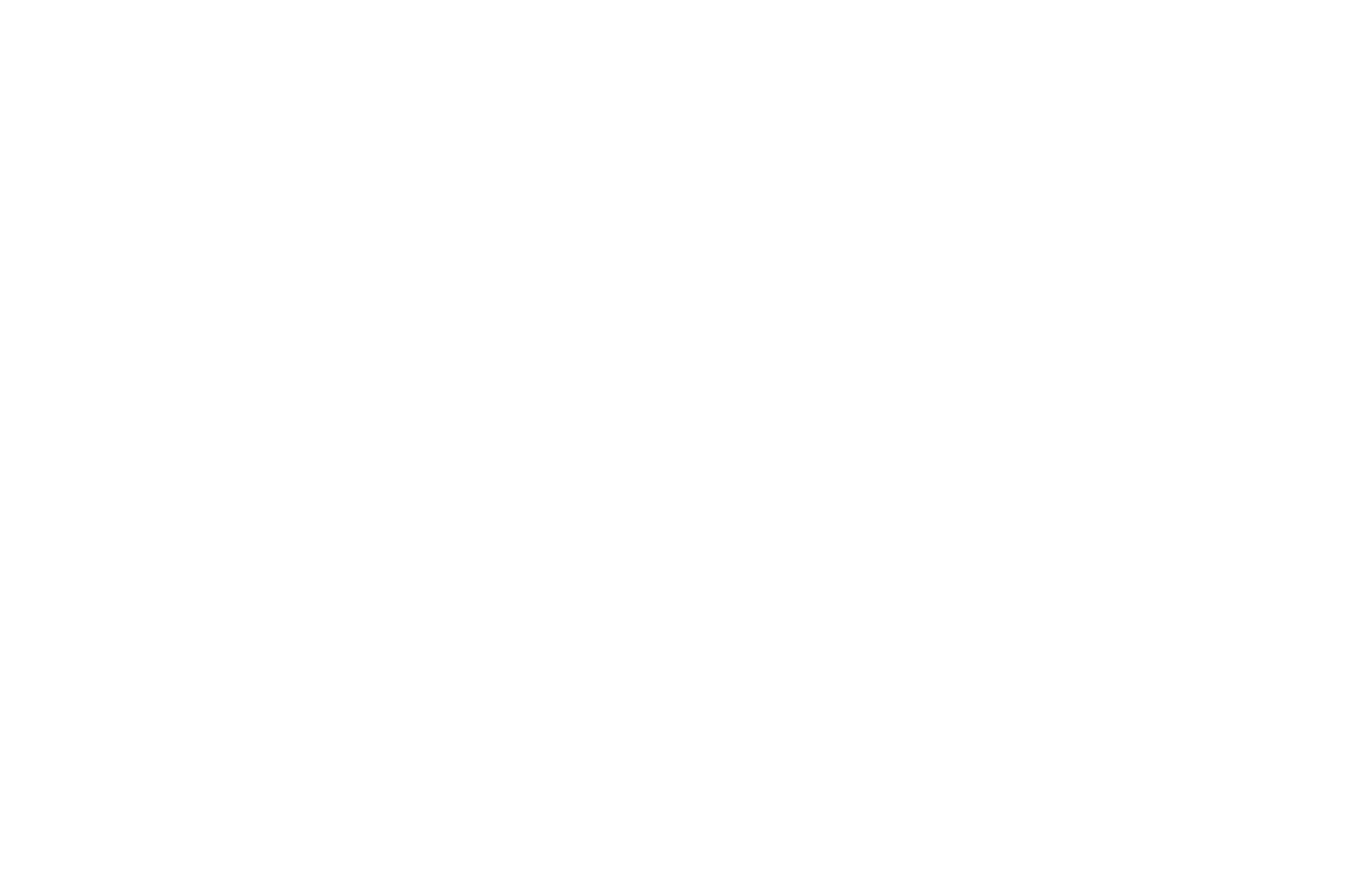 TechNet Professional Automotive Service